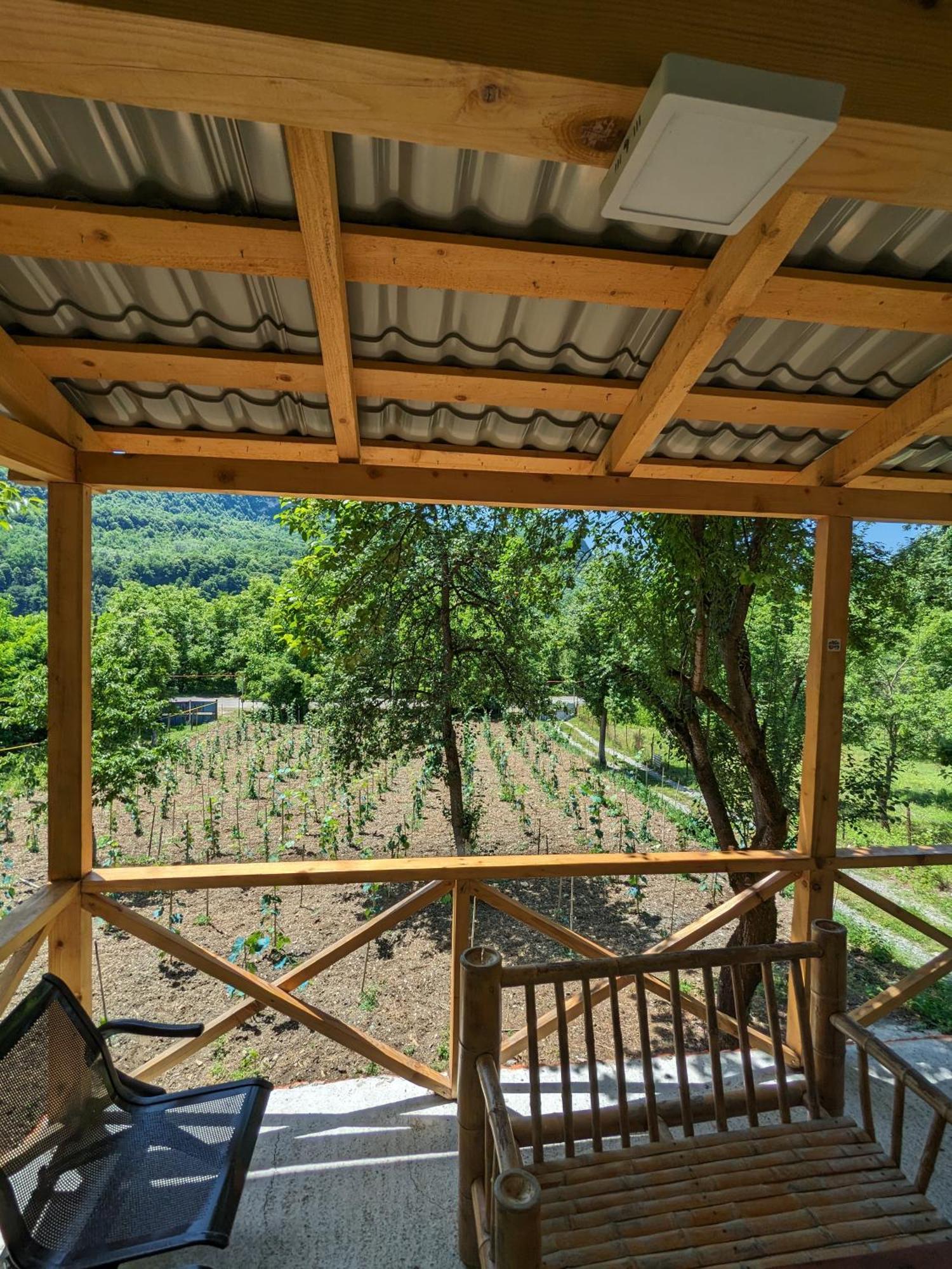 Khvanchkara Kipiani Guest House Ყიფიანის Სახლი מראה חיצוני תמונה