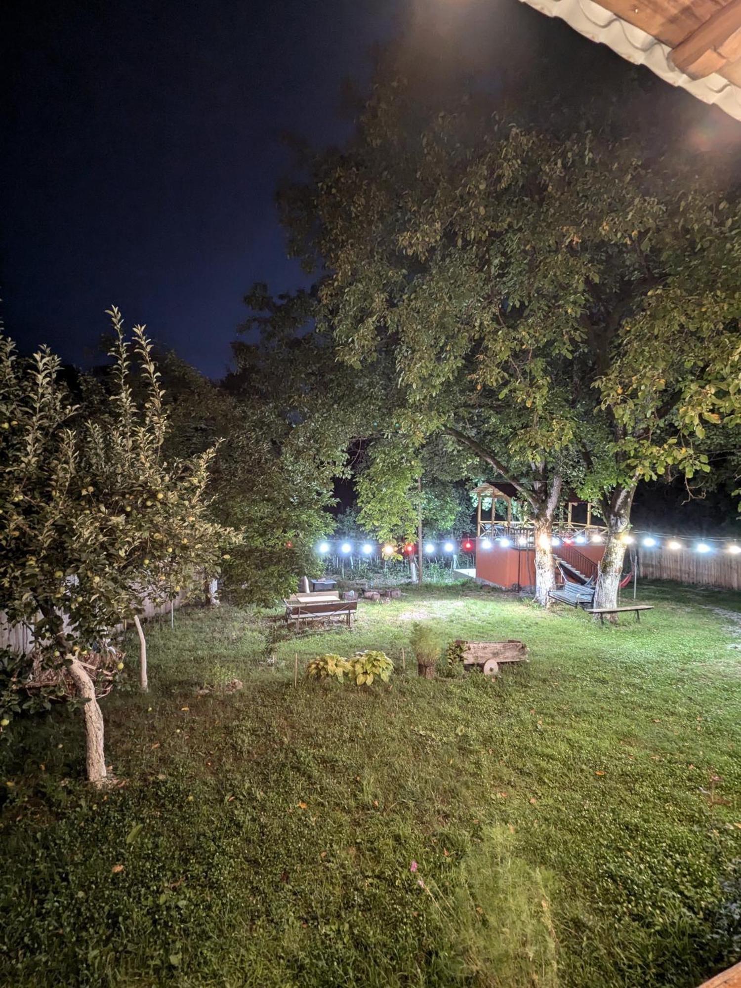 Khvanchkara Kipiani Guest House Ყიფიანის Სახლი מראה חיצוני תמונה