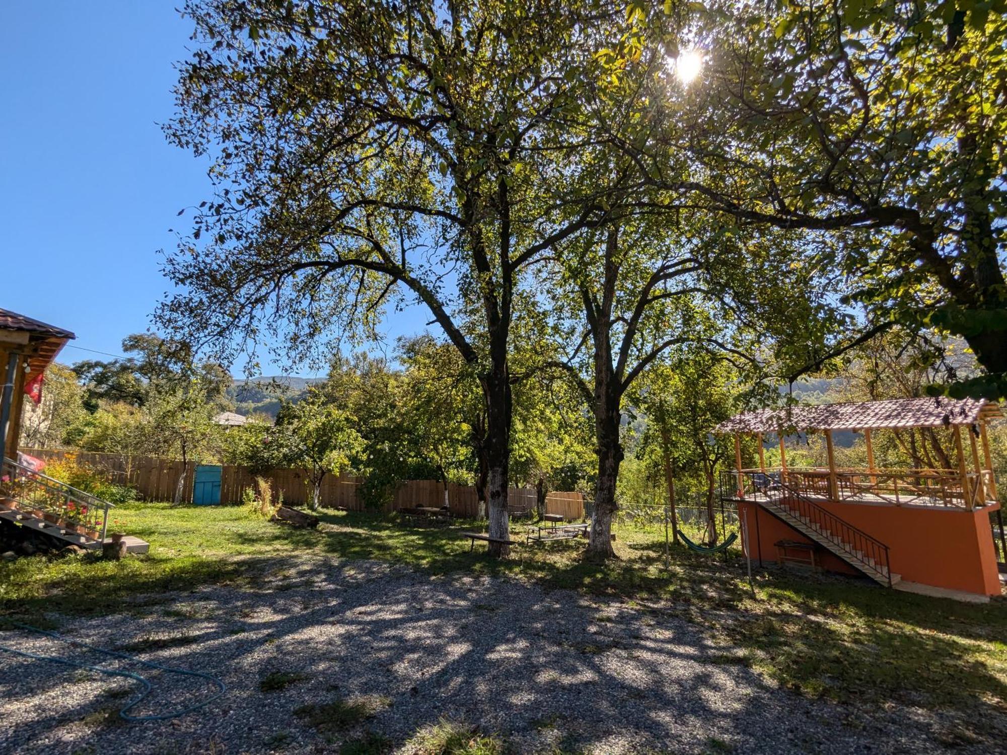 Khvanchkara Kipiani Guest House Ყიფიანის Სახლი מראה חיצוני תמונה